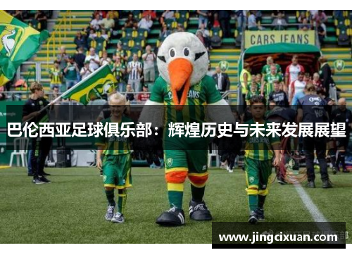 巴伦西亚足球俱乐部：辉煌历史与未来发展展望