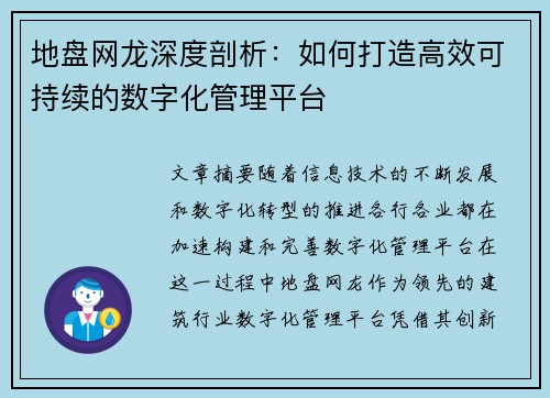 地盘网龙深度剖析：如何打造高效可持续的数字化管理平台